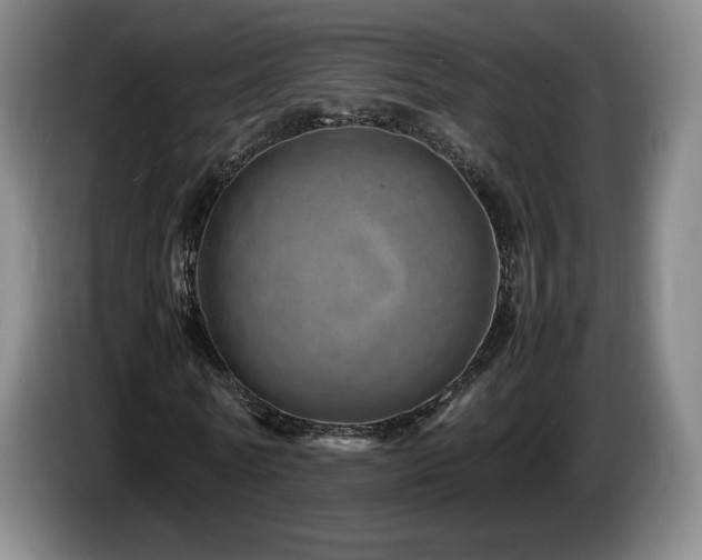 X0000085290770200703091409