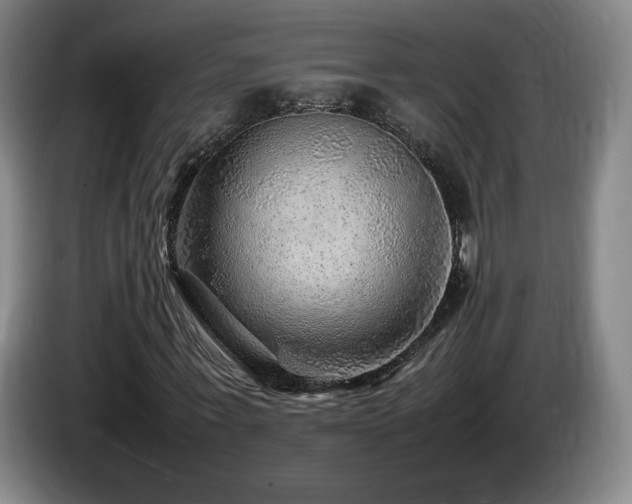 X0000085290771200703091409