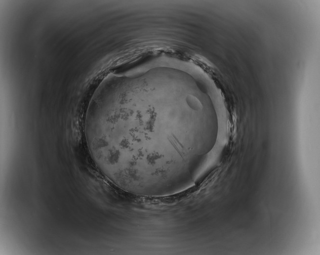 X0000085290774200703091409