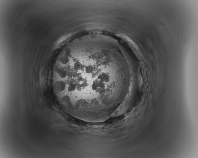 X0000085290775200703091409