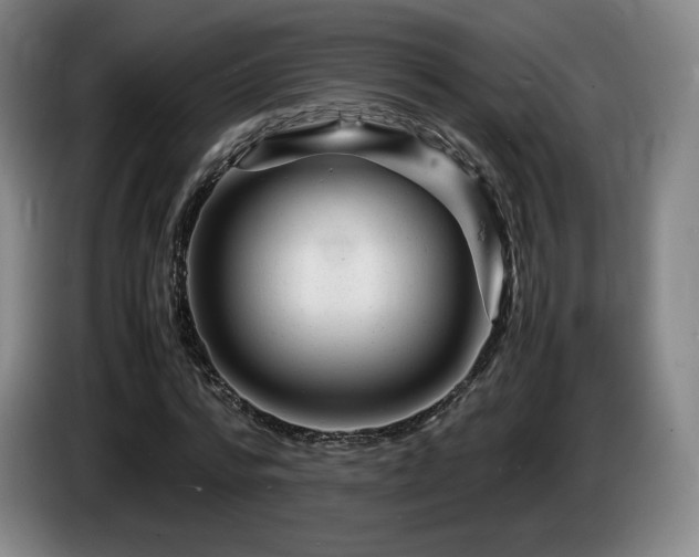 X0000085290776200703091409