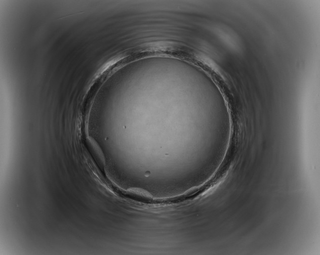 X0000085290778200703091409