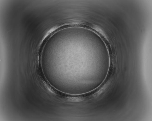 X0000085290781200703091409
