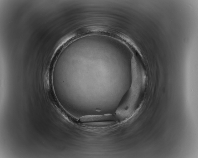 X0000085290782200703091409