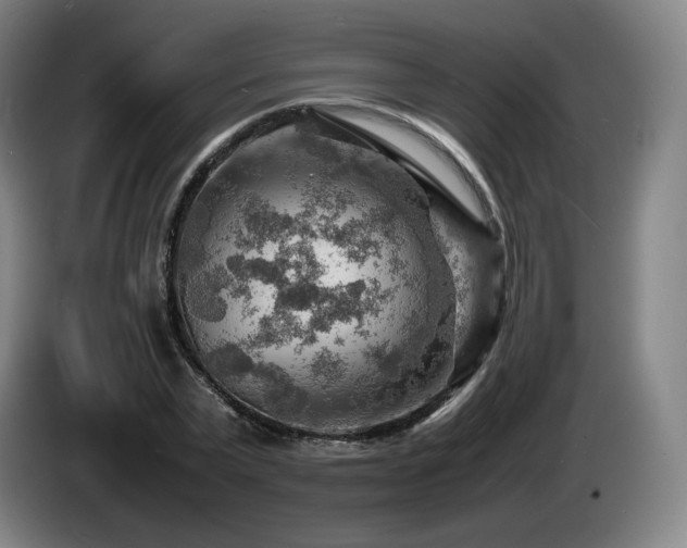X0000085290783200703091409
