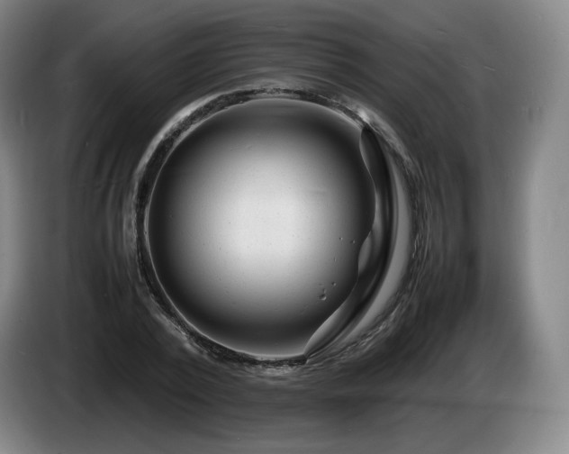 X0000085290784200703091409
