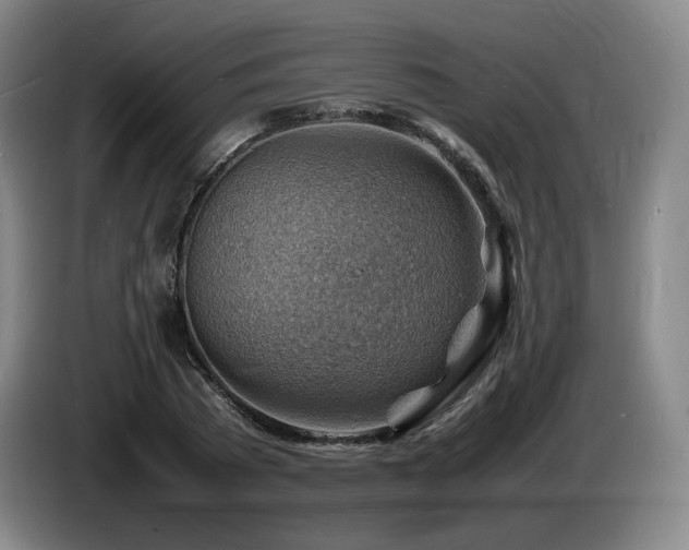 X0000085290785200703091409