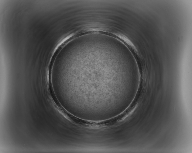X0000085290790200703091409