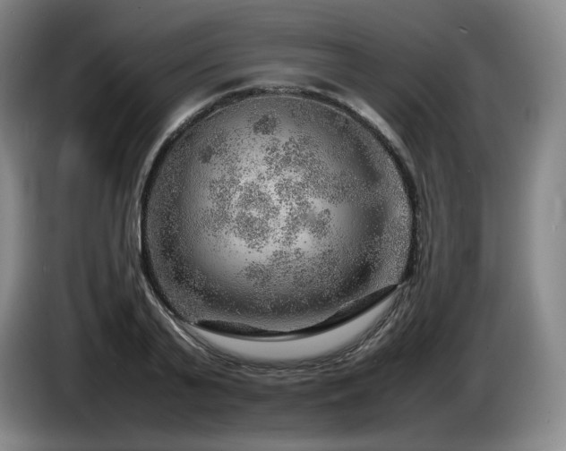 X0000085290791200703091409