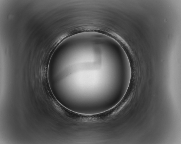 X0000085290793200703091409