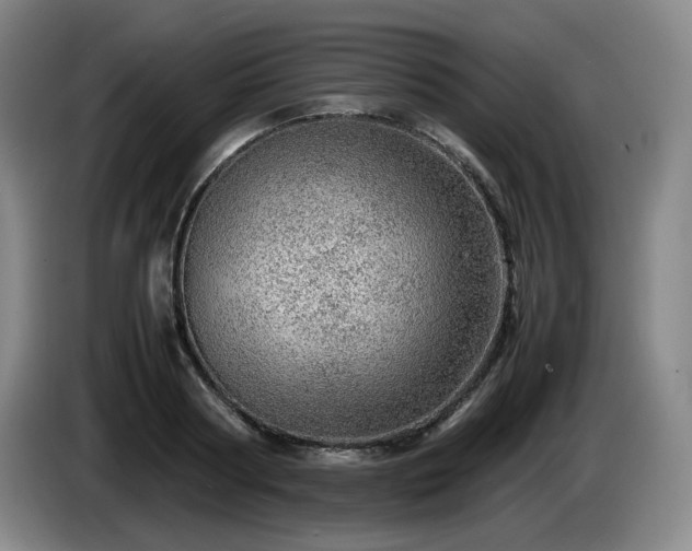 X0000085290794200703091409