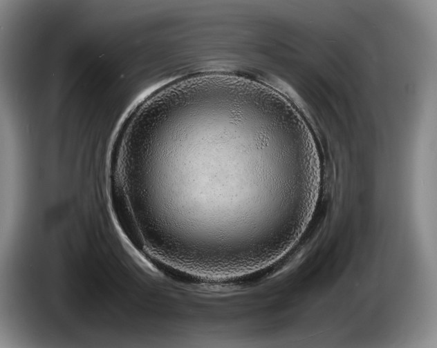 X0000085290795200703091409