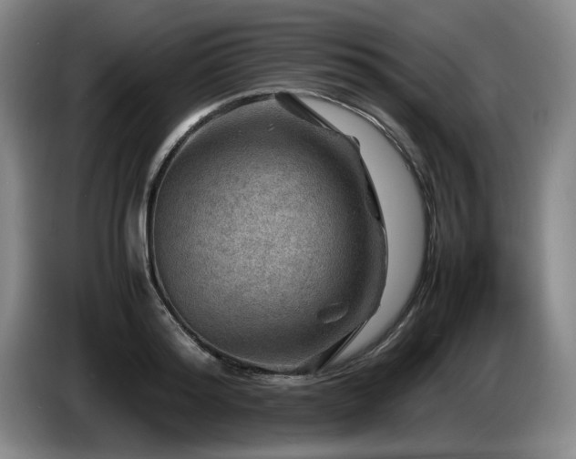 X0000085290796200703091409