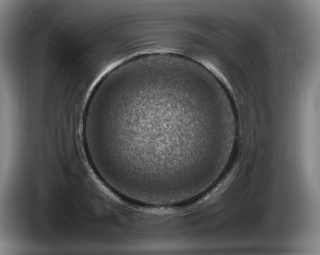 X0000085290797200703091409