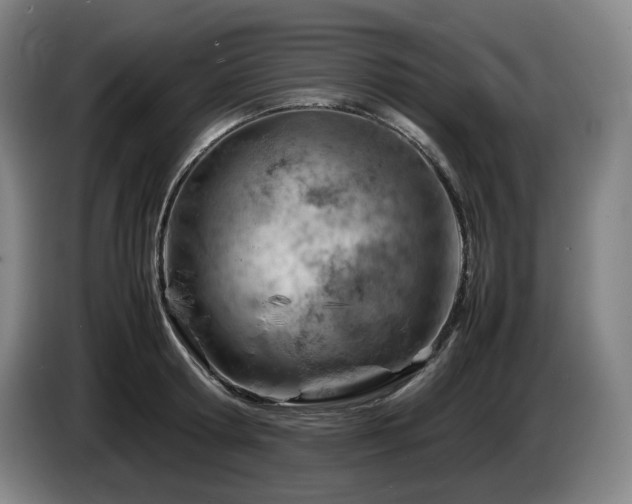X0000085290802200703091409