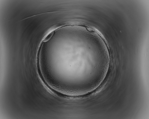 X0000085290803200703091409