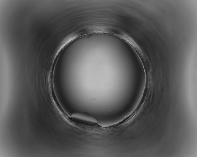 X0000085290806200703091409