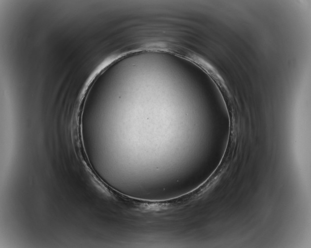X0000085290808200703091409