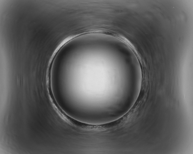 X0000085290811200703091409