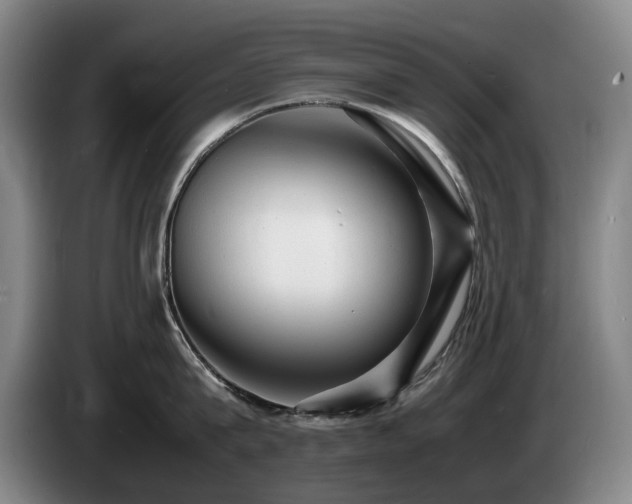 X0000085290815200703091409