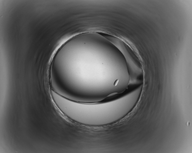 X0000085290816200703091409