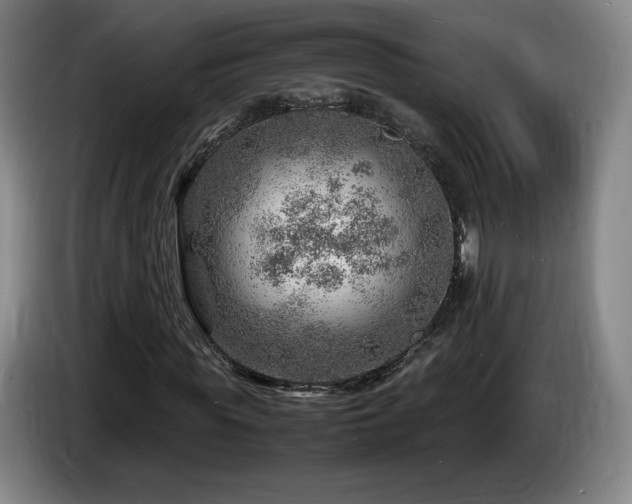 X0000085290819200703091408