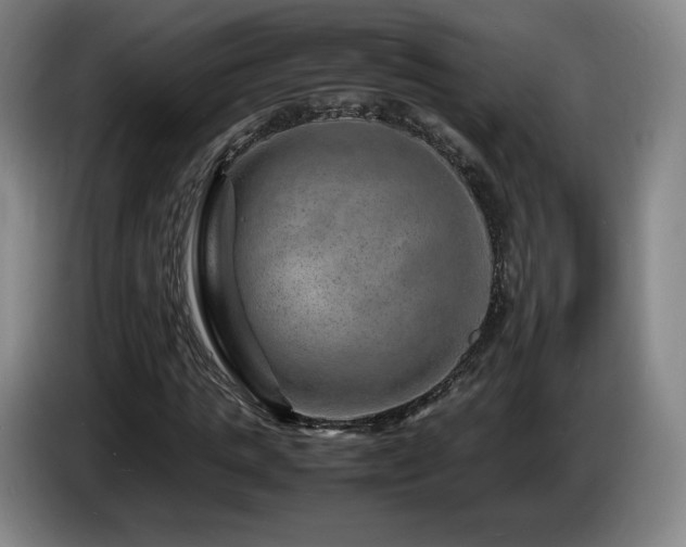 X0000085290821200703091408