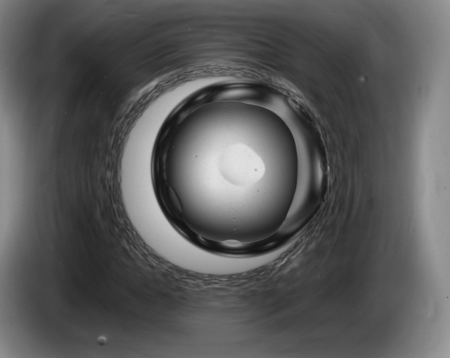 X0000085290822200703091408