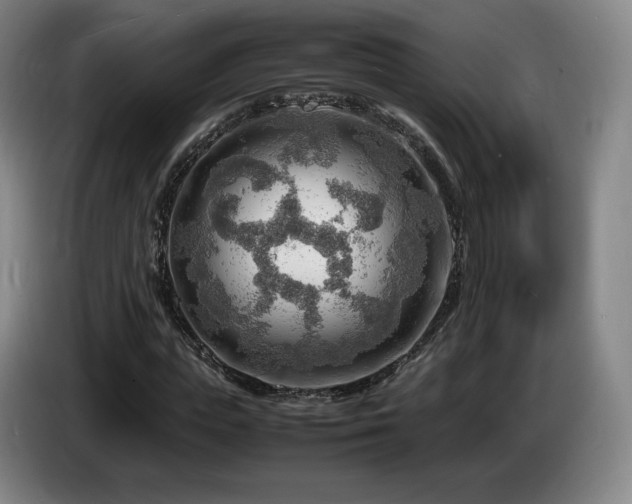 X0000085290823200703091408