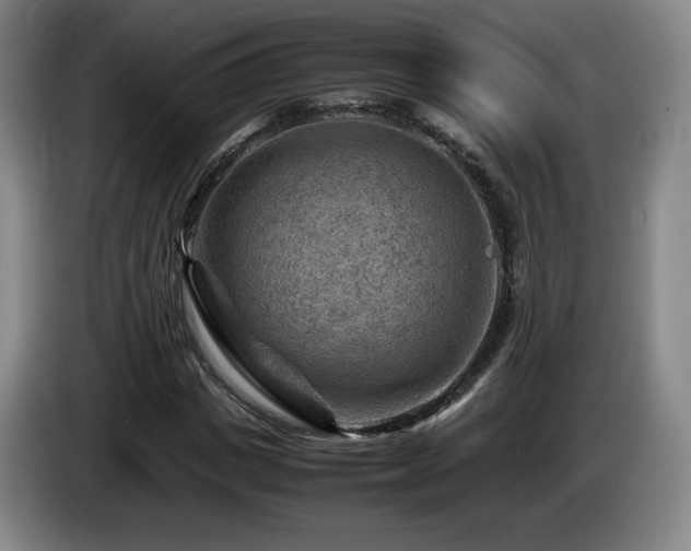 X0000085290825200703091408