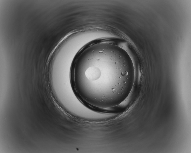 X0000085290828200703091408