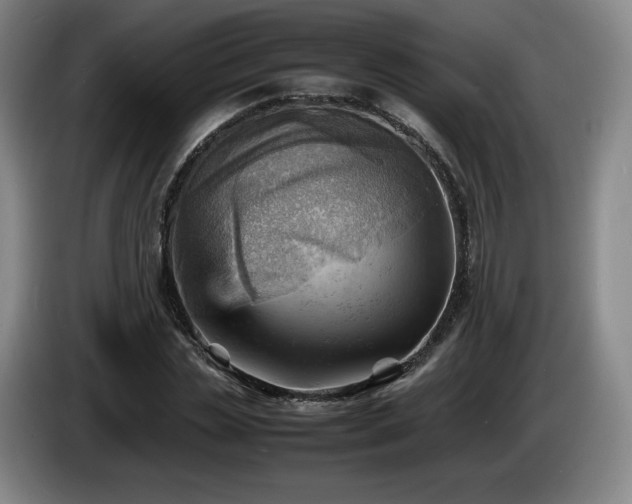 X0000085290829200703091408