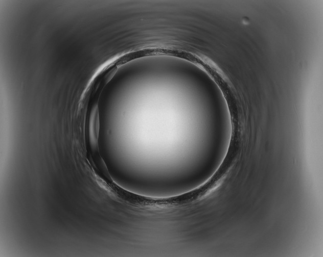 X0000085290830200703091408