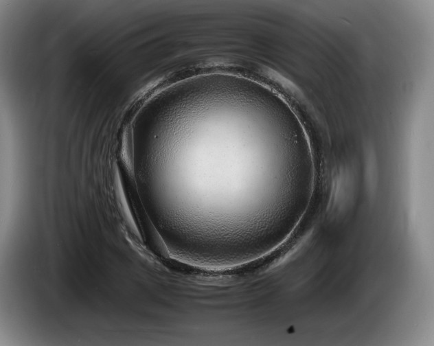 X0000085290833200703091408