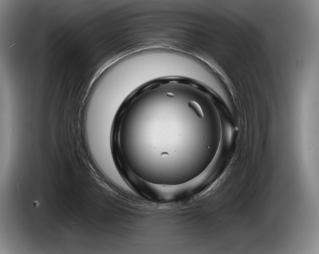X0000085290834200703091408