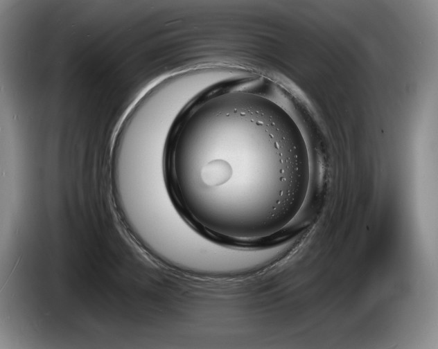 X0000085290836200703091408