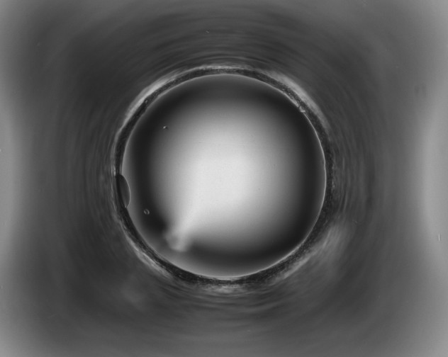 X0000085290837200703091408