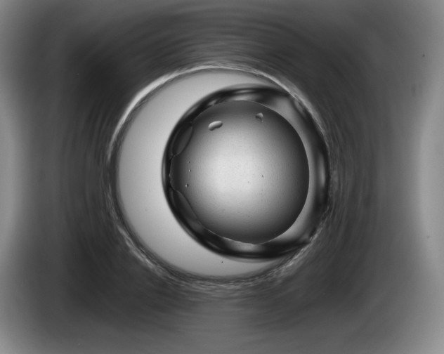 X0000085290838200703091408