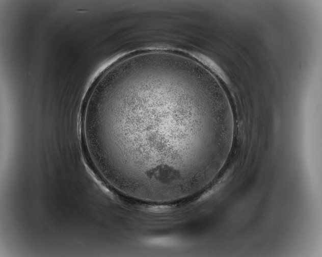 X0000085290839200703091408