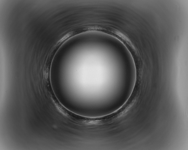 X0000085290841200703091408