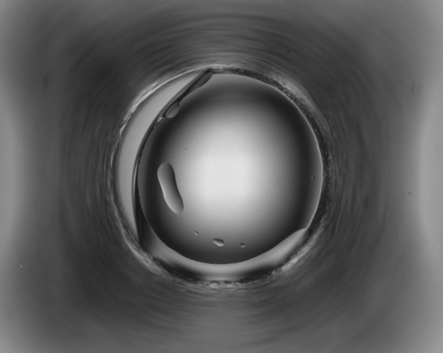 X0000085290842200703091408