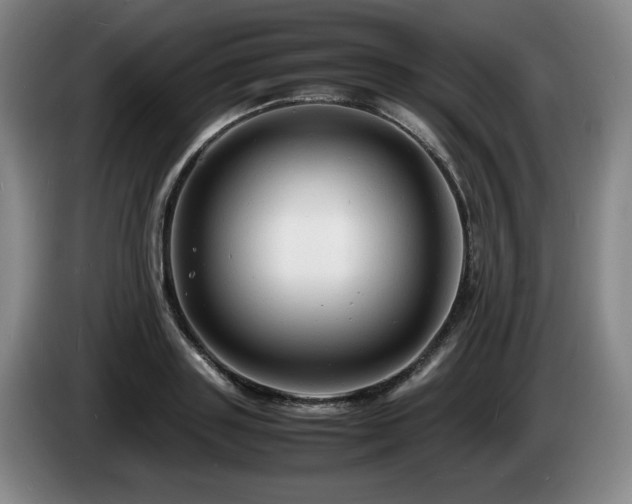 X0000085290843200703091408