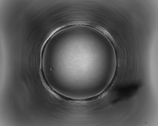 X0000085290844200703091408