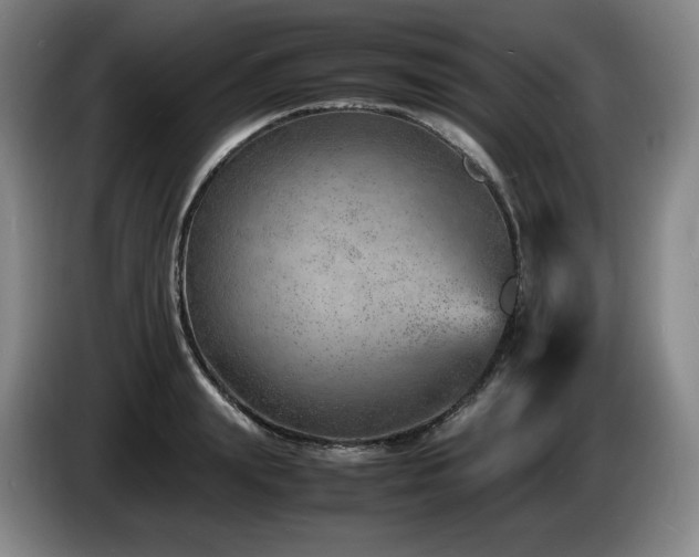 X0000085290847200703091408