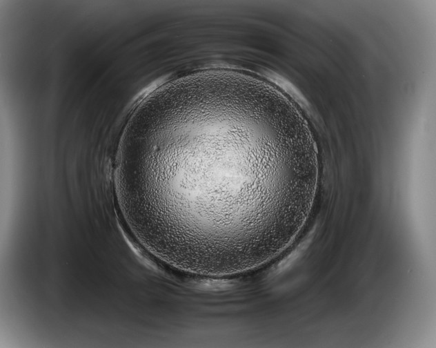 X0000085290849200703091408