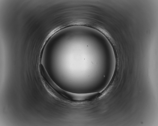 X0000085290850200703091408