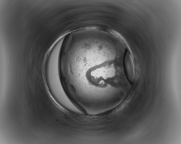 X0000085290851200703091408