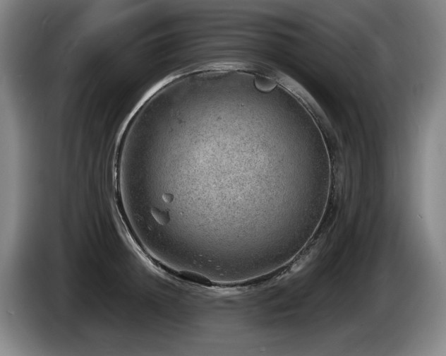 X0000085290852200703091408