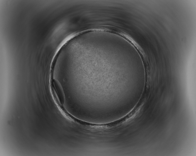 X0000085290853200703091408