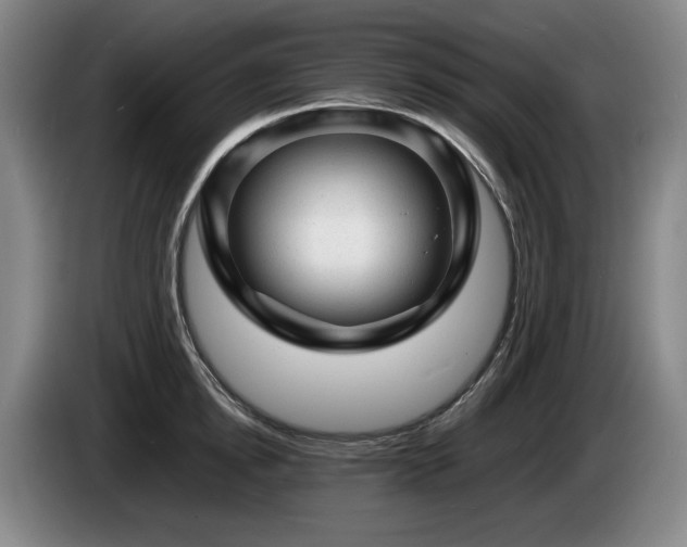 X0000085290854200703091408